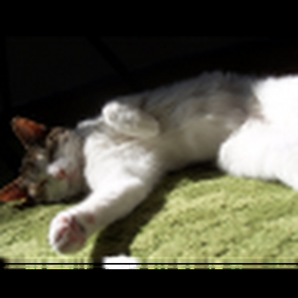 Meet your Posher, Liz - Picture 1 of 1